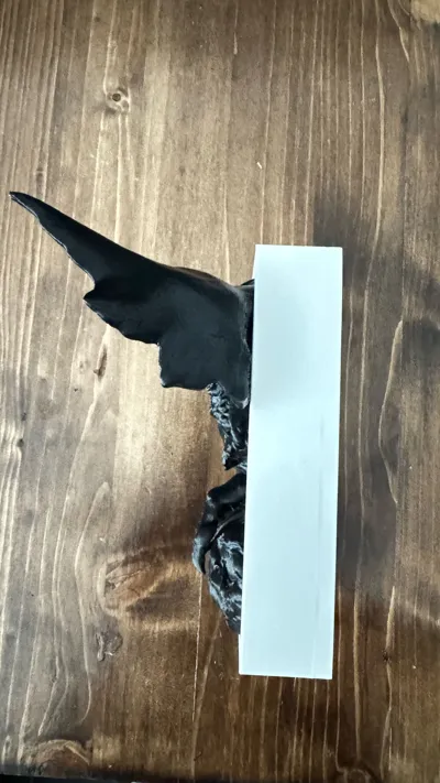 https://makerworld.bblmw.com/makerworld/model/1373707/1422583/ratings/6097c920-89ed-11f0-b4d7-6bf98aeb6e89.jpg