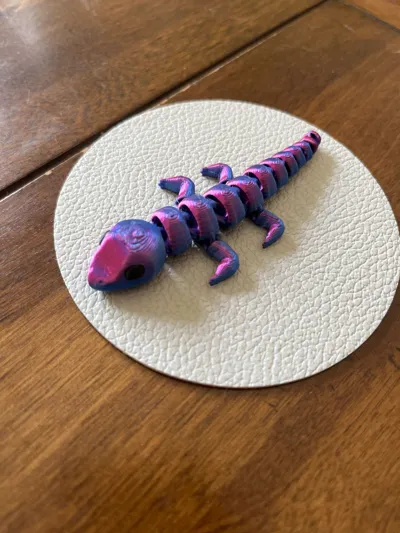 https://makerworld.bblmw.com/makerworld/model/1373848/1421000/ratings/b9640660-7ea1-11f0-95c1-03b5127817f2.jpg