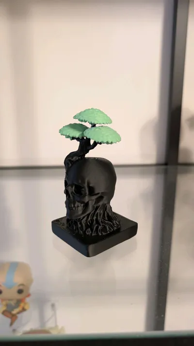 https://makerworld.bblmw.com/makerworld/model/1374407/1421686/ratings/d578e4d0-3967-11f0-9de8-89b8f5ac9cf3.jpg