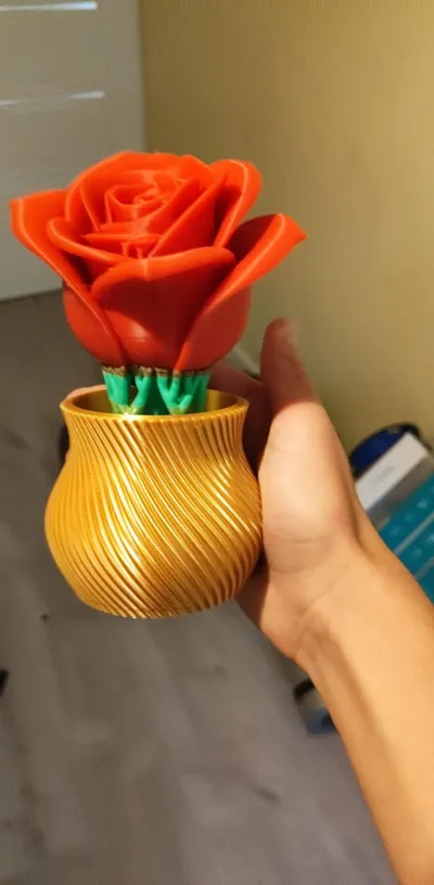 https://makerworld.bblmw.com/makerworld/model/1374469/1459895/ratings/a6f4f070-8112-11f0-999f-09db11b6e3e9.png