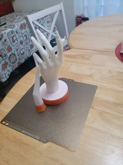 https://makerworld.bblmw.com/makerworld/model/1377534/1425315/ratings/a14c8500-643b-11f0-be28-2b5ac71690f5.jpg