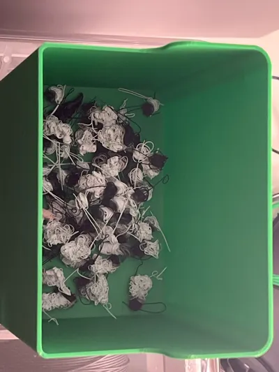 https://makerworld.bblmw.com/makerworld/model/137843/150024/ratings/2bb74030-20b3-11f0-b938-21ebb7e480eb.jpg