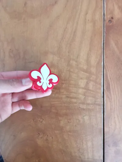 https://makerworld.bblmw.com/makerworld/model/1378449/1426384/ratings/26d7c790-3d57-11f0-a23e-659aa3f94720.jpg