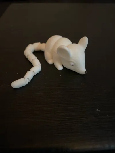 https://makerworld.bblmw.com/makerworld/model/1379145/1832721/ratings/ed6b88e0-b4a0-11f0-b6b3-33b7ad4b2d32.jpg