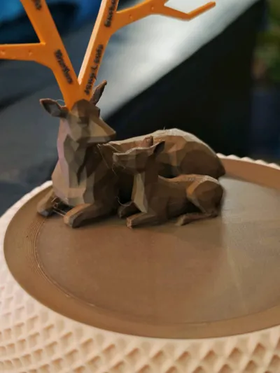 https://makerworld.bblmw.com/makerworld/model/1379309/1491647/ratings/8124d9e0-d9fb-11f0-bd92-19edcf1d18e8.jpg