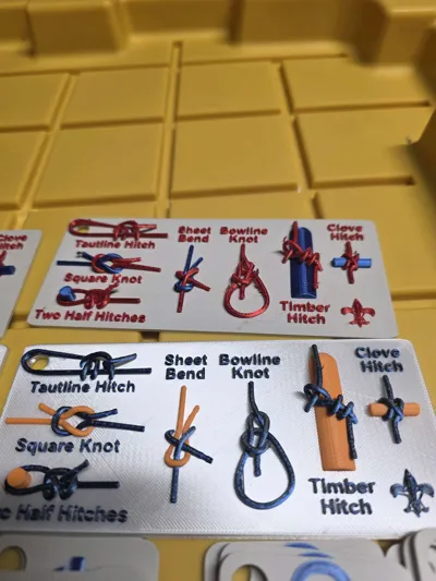 https://makerworld.bblmw.com/makerworld/model/1380685/1429043/ratings/ff9d51c0-c967-11f0-ae83-cd6a289063a9.jpg