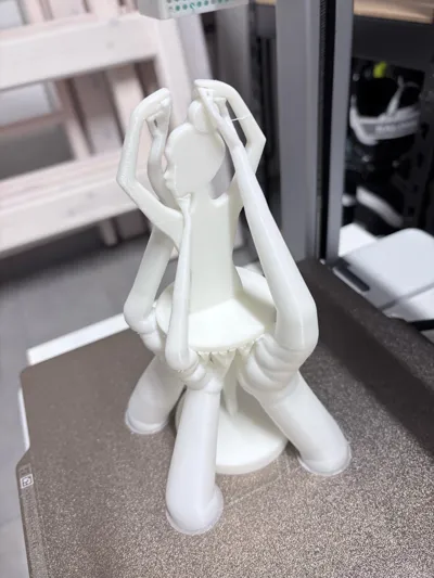 https://makerworld.bblmw.com/makerworld/model/1384274/1433330/ratings/ecf1d590-dde0-11f0-a937-a3ed768a196e.jpg