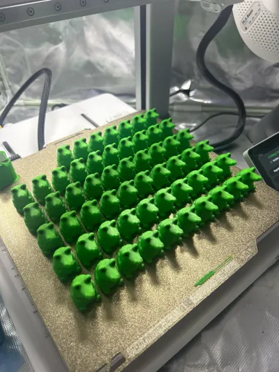 https://makerworld.bblmw.com/makerworld/model/1384387/1433481/ratings/afdf6350-2b31-11f0-8706-c723bae56d3d.jpg