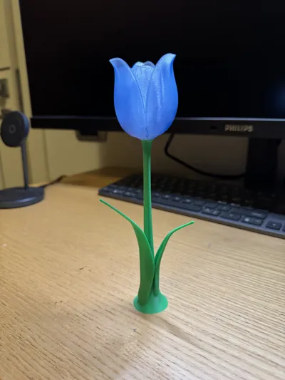 https://makerworld.bblmw.com/makerworld/model/138573/150944/ratings/99341950-074d-11f0-8bbf-37fc184263d9.jpg
