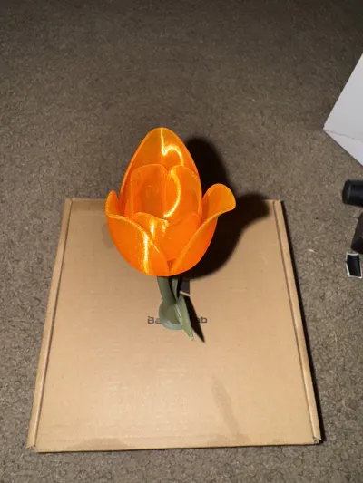 https://makerworld.bblmw.com/makerworld/model/138573/172575/ratings/3fc75ba0-2487-11f0-a8e5-83957568bb7b.jpg