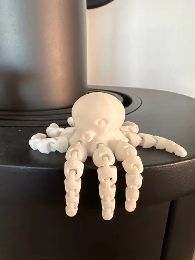 https://makerworld.bblmw.com/makerworld/model/13859/13655/ratings/06b5f450-76c8-11f0-a1aa-f37053071e51.jpg