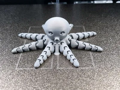 https://makerworld.bblmw.com/makerworld/model/13859/13655/ratings/1d520650-7771-11f0-89b4-d90be78df9cf.jpg
