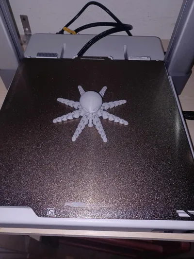 https://makerworld.bblmw.com/makerworld/model/13859/13655/ratings/2eca2a50-adf1-11f0-851a-e723d8e39f8b.jpg
