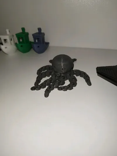 https://makerworld.bblmw.com/makerworld/model/13859/13655/ratings/38b33260-4491-11f0-a2a2-2b268bf9fc6e.jpg
