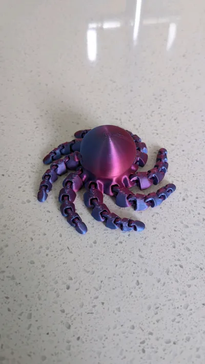 https://makerworld.bblmw.com/makerworld/model/13859/13655/ratings/50c9a670-6496-11f0-9c38-ade85413725b.jpg