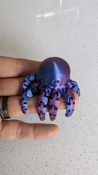 https://makerworld.bblmw.com/makerworld/model/13859/13655/ratings/50ece5e0-6496-11f0-9c38-ade85413725b.jpg