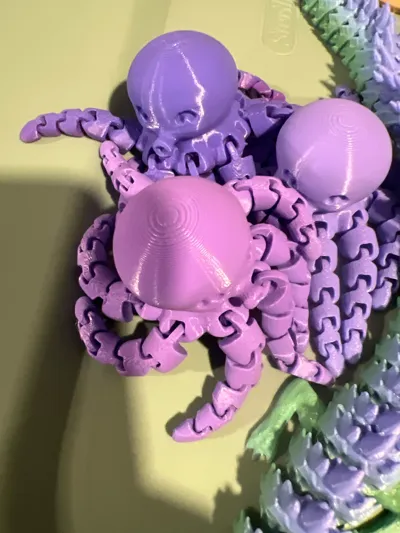 https://makerworld.bblmw.com/makerworld/model/13859/13655/ratings/5ea29ce0-b921-11f0-9981-91e506a1f57b.jpg