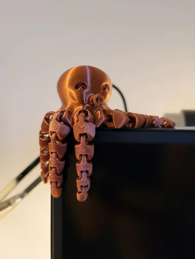 https://makerworld.bblmw.com/makerworld/model/13859/13655/ratings/953c2ea0-17c9-11f0-9ee4-553d3af3432d.jpg