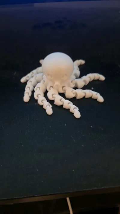 https://makerworld.bblmw.com/makerworld/model/13859/13655/ratings/d77c9990-cd8f-11f0-abeb-1590d2a628f2.jpg