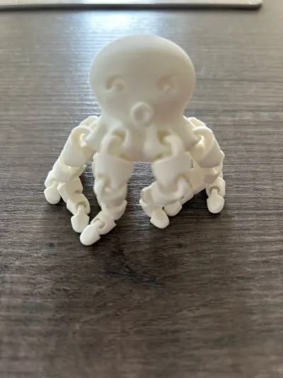 https://makerworld.bblmw.com/makerworld/model/13859/13655/ratings/dc5e2280-6322-11f0-99ee-f781b8099d18.jpg