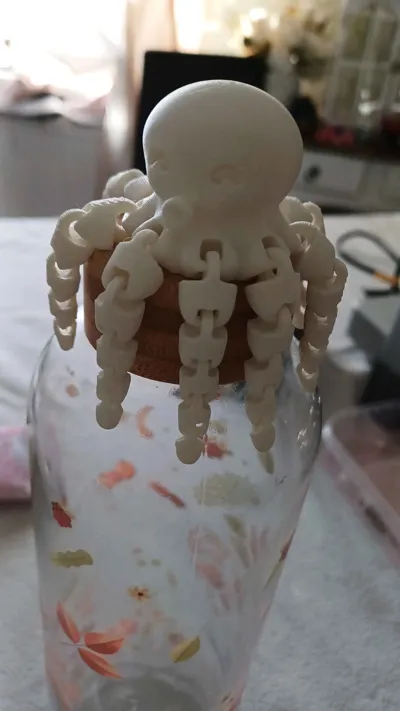 https://makerworld.bblmw.com/makerworld/model/13859/13655/ratings/f3c1a280-1453-11f0-a409-41e1700cf28f.jpg