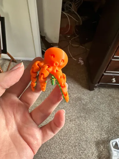 https://makerworld.bblmw.com/makerworld/model/13859/13656/ratings/47ad8e00-6b1f-11f0-923d-577075dabaf0.jpg