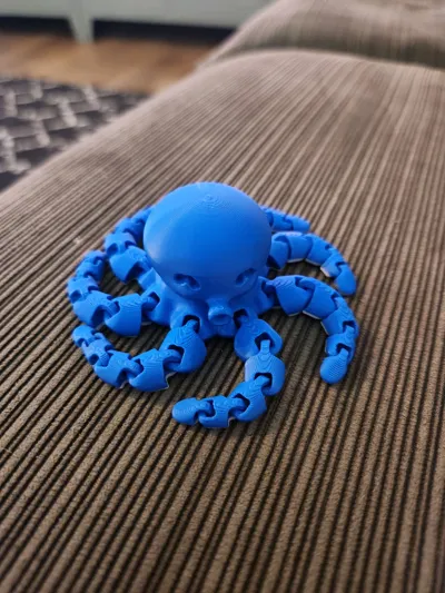 https://makerworld.bblmw.com/makerworld/model/13859/13656/ratings/5c5d8b30-f282-11f0-98ea-c38affb95667.jpg