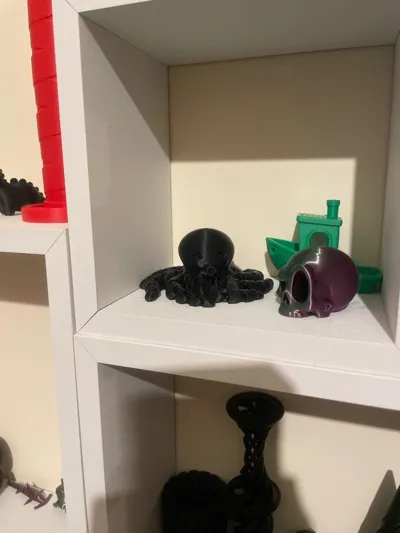 https://makerworld.bblmw.com/makerworld/model/13859/13656/ratings/a18220e0-f95d-11f0-9179-b7221ce80f07.jpg