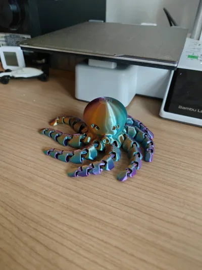https://makerworld.bblmw.com/makerworld/model/13859/13656/ratings/abab5160-aa37-11f0-a133-7f91b841fa7f.jpg