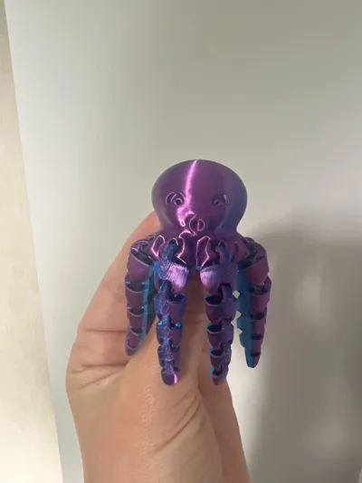 https://makerworld.bblmw.com/makerworld/model/13859/13656/ratings/b787e4a0-21e1-11f0-8a9a-73b6069dd560.jpg