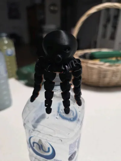 https://makerworld.bblmw.com/makerworld/model/13859/13656/ratings/da2fbba0-309f-11f0-a4e1-0124e8f4e2d6.jpg