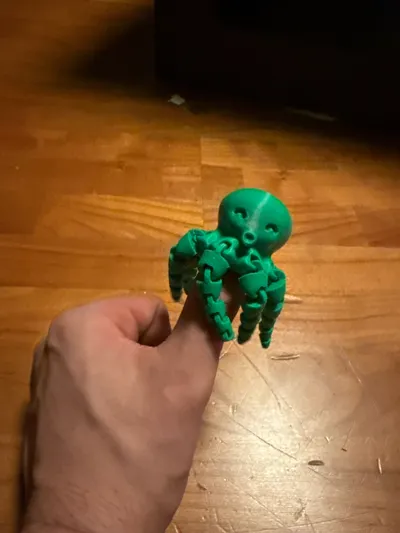 https://makerworld.bblmw.com/makerworld/model/13859/14320/ratings/48ff7030-9652-11f0-9446-e58dc640564f.jpg