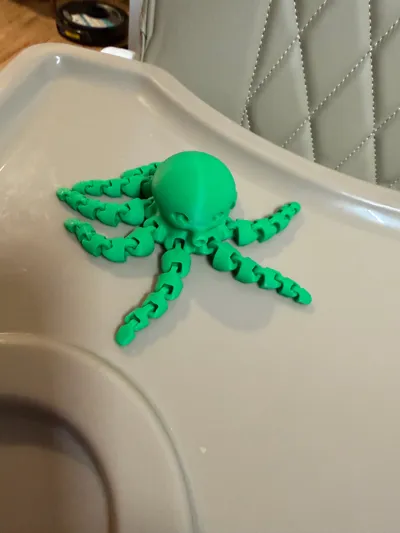 https://makerworld.bblmw.com/makerworld/model/13859/17603/ratings/3091f430-f9af-11f0-99c5-b119ddb5440c.jpg