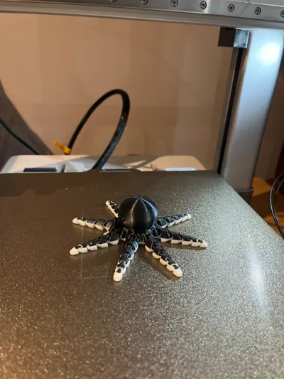 https://makerworld.bblmw.com/makerworld/model/13859/17603/ratings/48b8c580-36b3-11f0-b695-0fc2d7668869.jpg