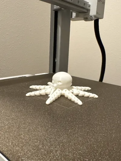 https://makerworld.bblmw.com/makerworld/model/13859/20300/ratings/e57010c0-e23b-11f0-be36-9b55493fac73.jpg