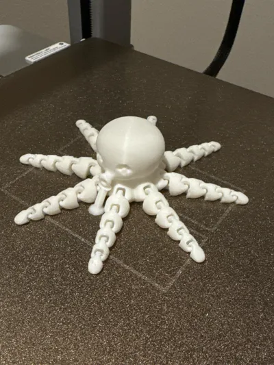 https://makerworld.bblmw.com/makerworld/model/13859/20300/ratings/e57b5b60-e23b-11f0-be36-9b55493fac73.jpg