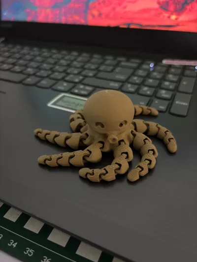 https://makerworld.bblmw.com/makerworld/model/13859/48472/ratings/53f8d410-c3d2-11f0-b769-73be4dcc9a17.jpg