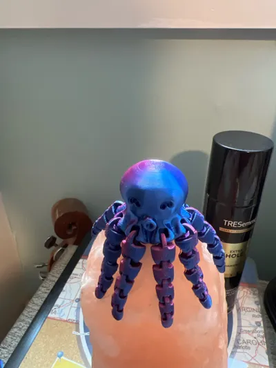 https://makerworld.bblmw.com/makerworld/model/13859/55789/ratings/8c8ecdf0-6d6c-11f0-8f5f-65a20808014d.jpg