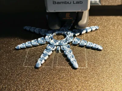 https://makerworld.bblmw.com/makerworld/model/13859/666553/ratings/c9d10030-be1a-11f0-8e65-e9d56b0e1833.jpg