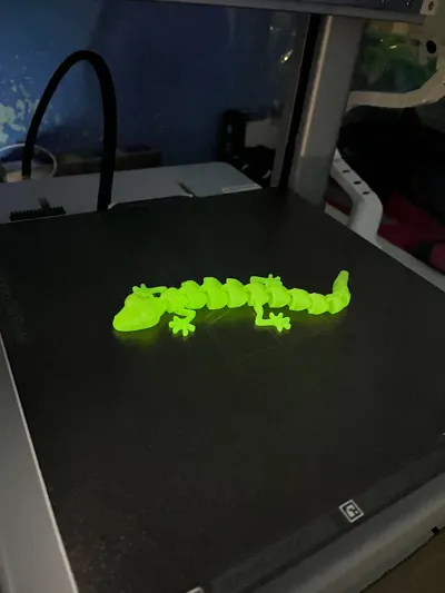 https://makerworld.bblmw.com/makerworld/model/13862/13659/ratings/5b5b5650-1b0e-11f0-ba25-e3cbc182d543.jpg