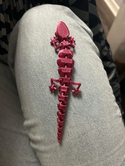 https://makerworld.bblmw.com/makerworld/model/13862/13659/ratings/68152f00-ea99-11f0-a3f7-c9fd4a6b62c1.jpg
