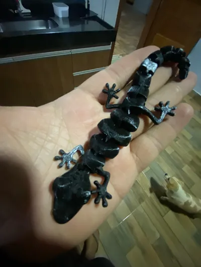 https://makerworld.bblmw.com/makerworld/model/13862/13659/ratings/dd586ac0-91b6-11f0-90b9-7b477966f009.jpg