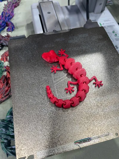 https://makerworld.bblmw.com/makerworld/model/13862/13660/ratings/e4ddae70-e9d3-11f0-9b65-4d45267a2e7b.jpg