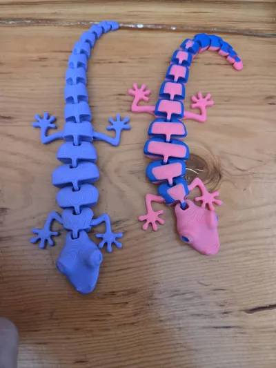 https://makerworld.bblmw.com/makerworld/model/13862/87626/ratings/5f1664a0-b821-11f0-867f-51c26894f820.jpg