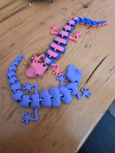 https://makerworld.bblmw.com/makerworld/model/13862/87626/ratings/5f1664a1-b821-11f0-867f-51c26894f820.jpg