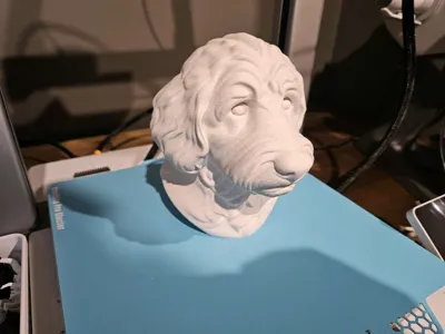 https://makerworld.bblmw.com/makerworld/model/1386431/1435878/ratings/affe6590-2b48-11f0-8ced-0d7d1c92096f.jpg