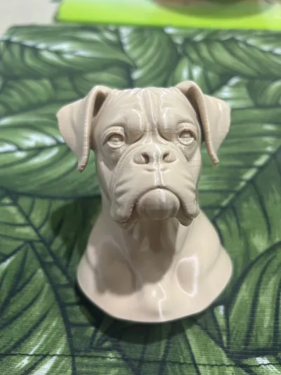 https://makerworld.bblmw.com/makerworld/model/1386448/1435901/ratings/7e6d3d00-85d2-11f0-a346-cd79f388e141.jpg