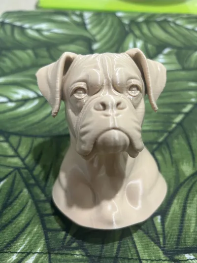 https://makerworld.bblmw.com/makerworld/model/1386448/1435901/ratings/7e6db230-85d2-11f0-a346-cd79f388e141.jpg