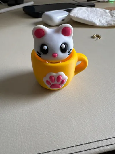 https://makerworld.bblmw.com/makerworld/model/1386576/1436063/ratings/dfb08d80-e566-11f0-bb4c-ff4b89689008.jpg