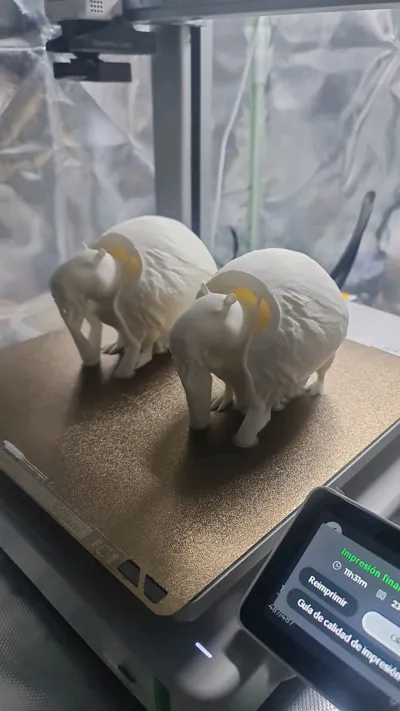 https://makerworld.bblmw.com/makerworld/model/1387790/1437507/ratings/41d402b0-5c39-11f0-b35a-b7a86cb0e21f.jpg
